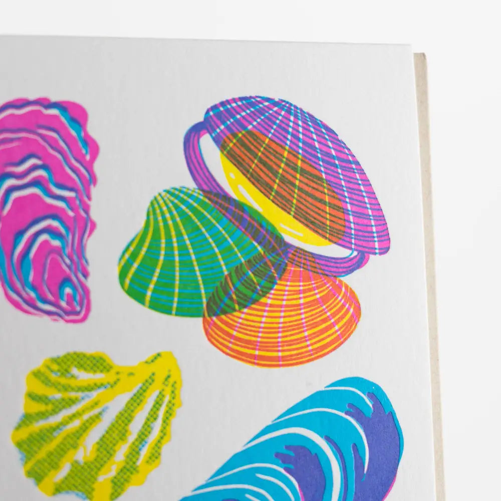 Porchlight Press Letterpress - Vibrant Life Series - Molluscs Card Single