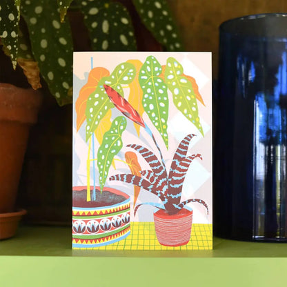 Bromeliad Card - PABOOM