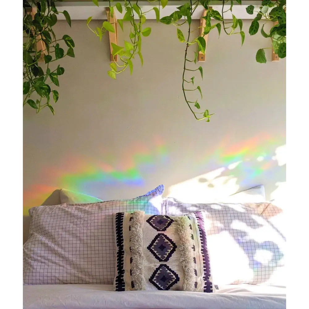 Prismatic Kitty - Lupins Suncatcher Sticker | Wildflower Window Cling | Gift