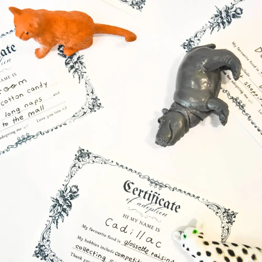 Riley Grae - Adopt A Pet | Mini Mystery Animal