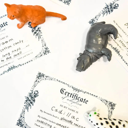 Riley Grae - Adopt A Pet | Mini Mystery Animal