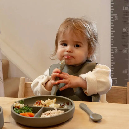 Baby Divided Silicone Suction Plate - PABOOM