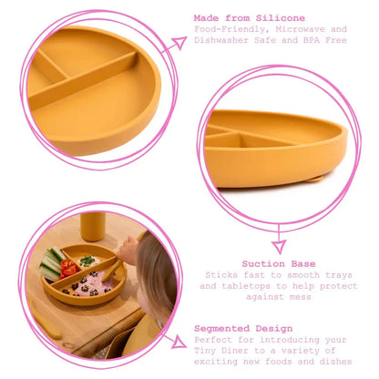 Baby Divided Silicone Suction Plate - PABOOM