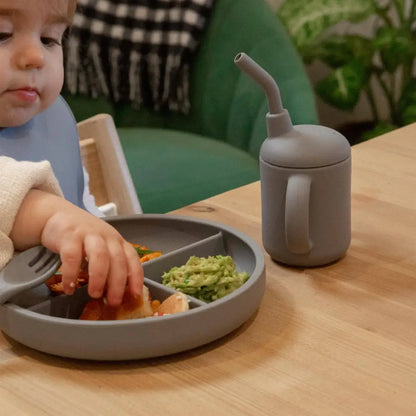 Baby Divided Silicone Suction Plate - PABOOM