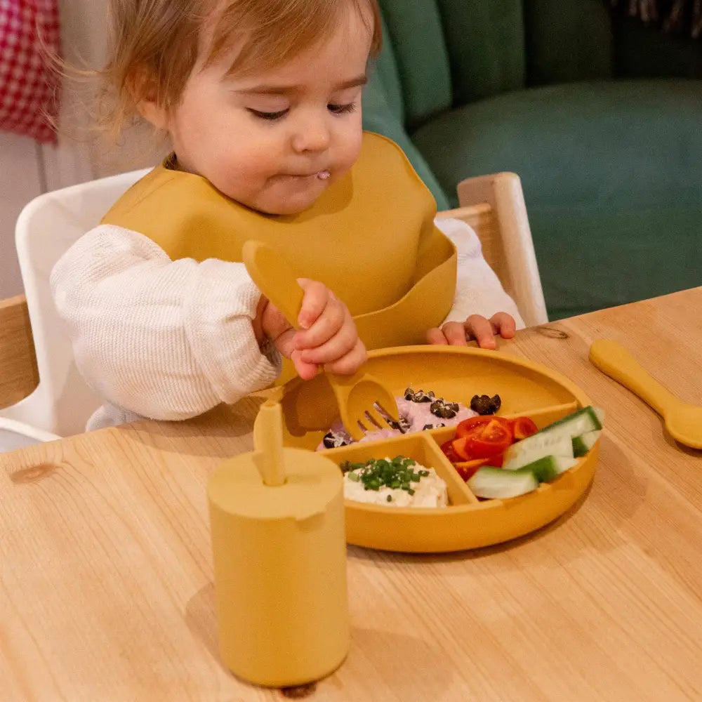 Baby Divided Silicone Suction Plate - PABOOM