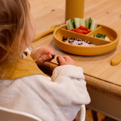 Baby Divided Silicone Suction Plate - PABOOM