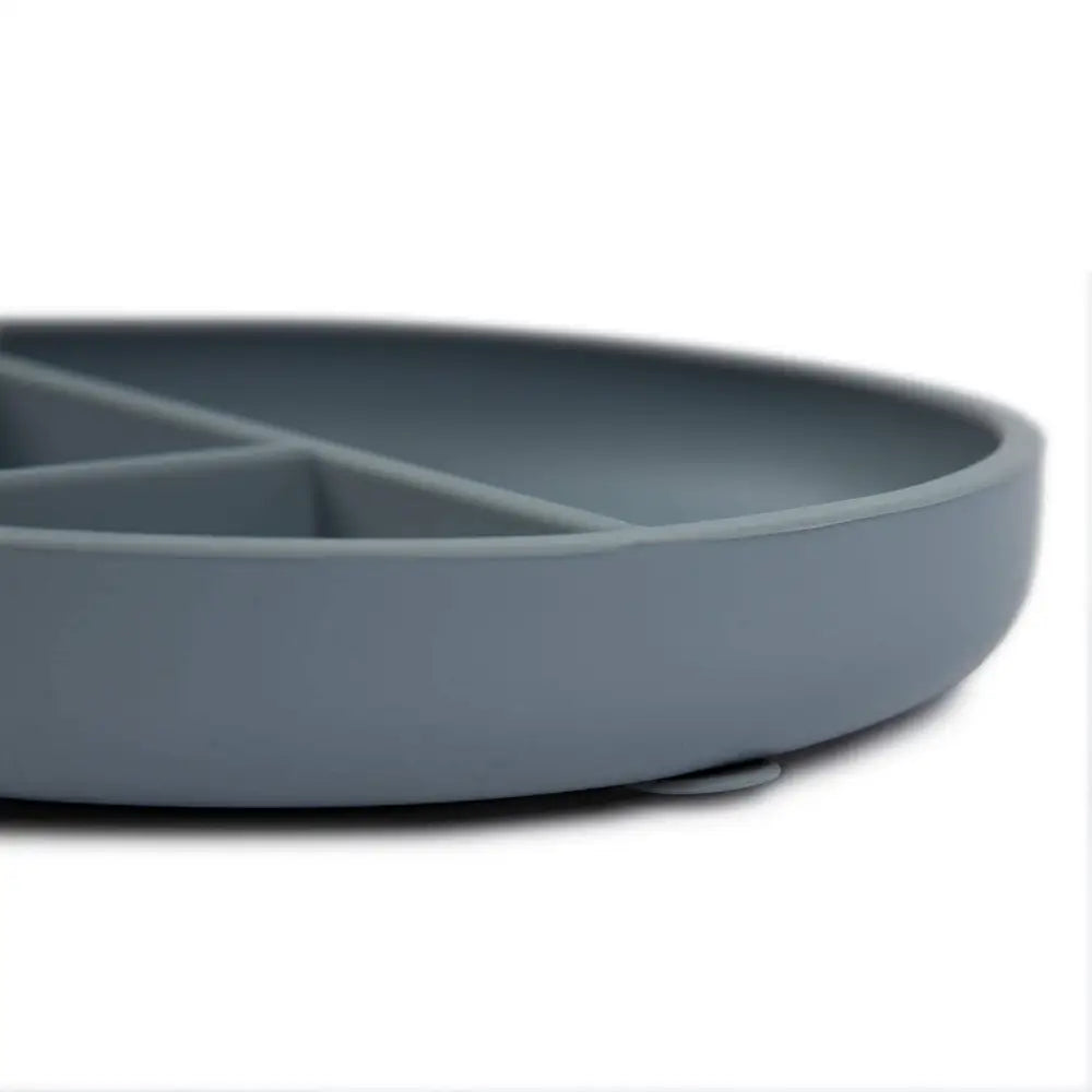Baby Divided Silicone Suction Plate - PABOOM