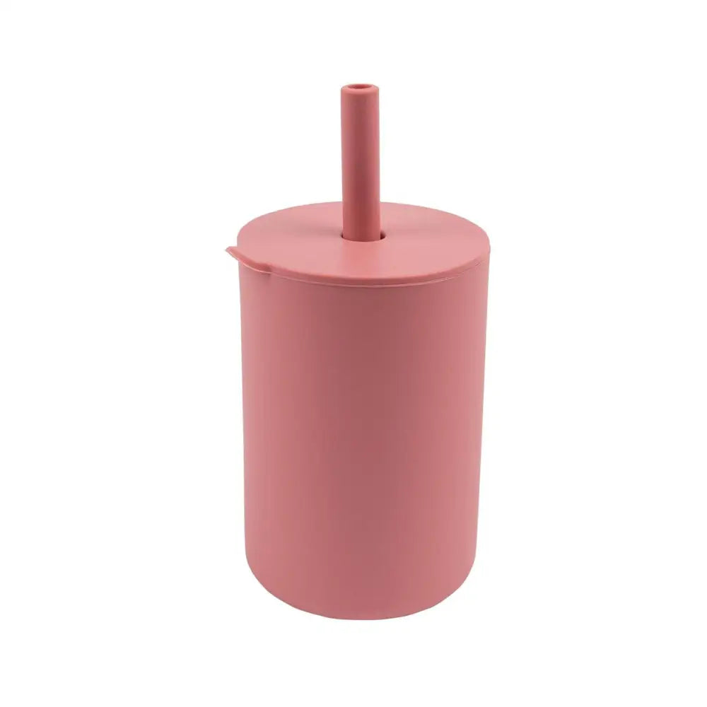 Baby Silicone Straw Cup - PABOOM