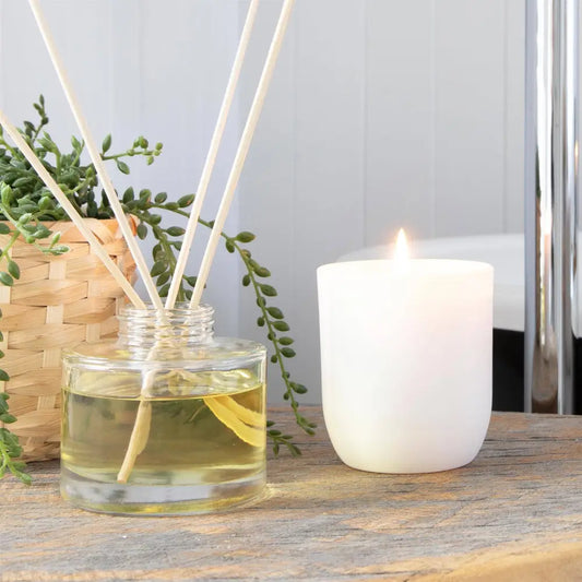 Coconut & Lime White Soy Wax Candle - PABOOM