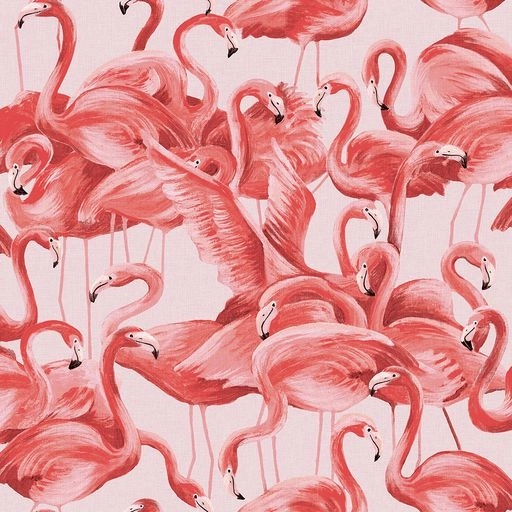 Flamingo Cheeky Peel and Stick Wallpaper, 28 sq. ft.