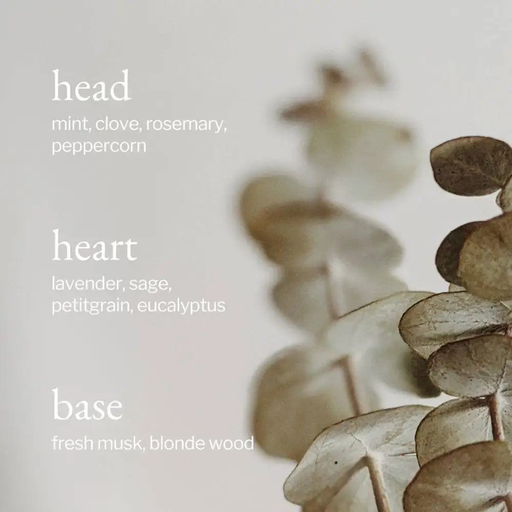 SOJA&CO.® - SOJA&CO Soy Wax Candle