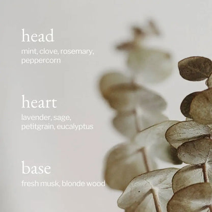 SOJA&CO.® - SOJA&CO Soy Wax Candle