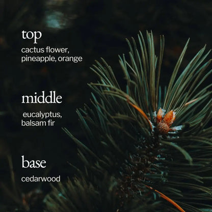 SOJA&CO.® - SOJA&CO Soy Wax Candle