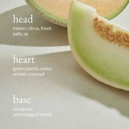 SOJA&CO.® - SOJA&CO Soy Wax Candle