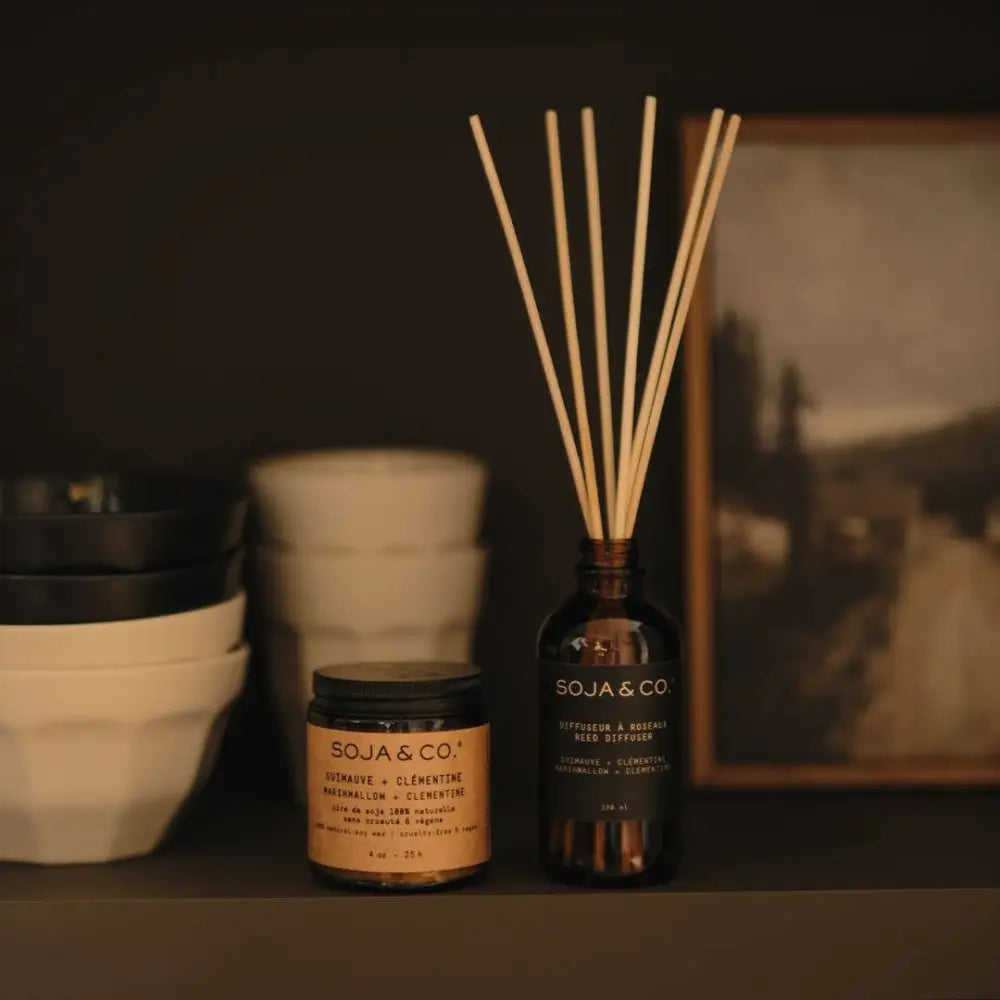 SOJA&CO Soy Wax Candle - Melon + Salty Air