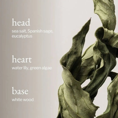 SOJA&CO.® - SOJA&CO Soy Wax Candle