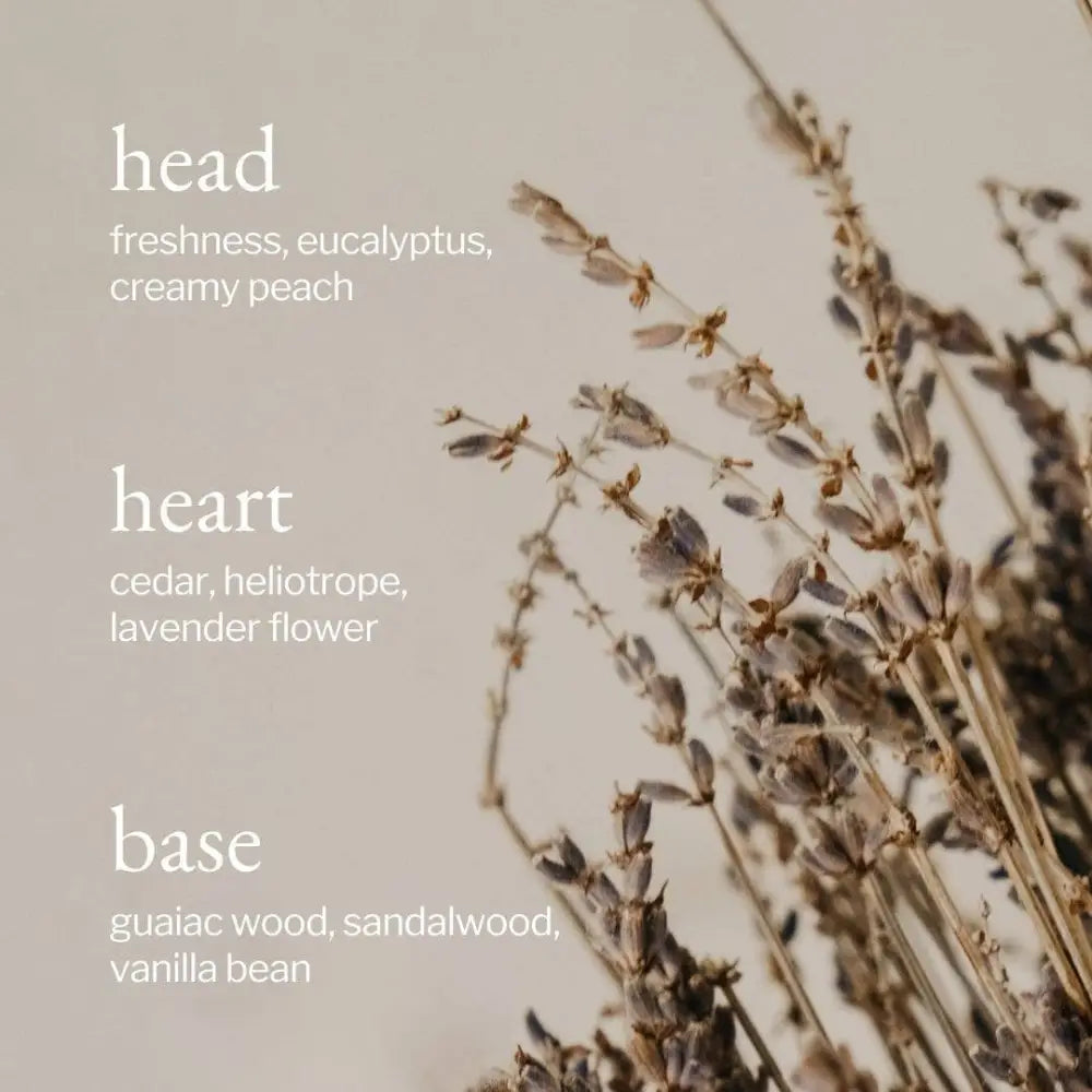 SOJA&CO.® - SOJA&CO Soy Wax Candle