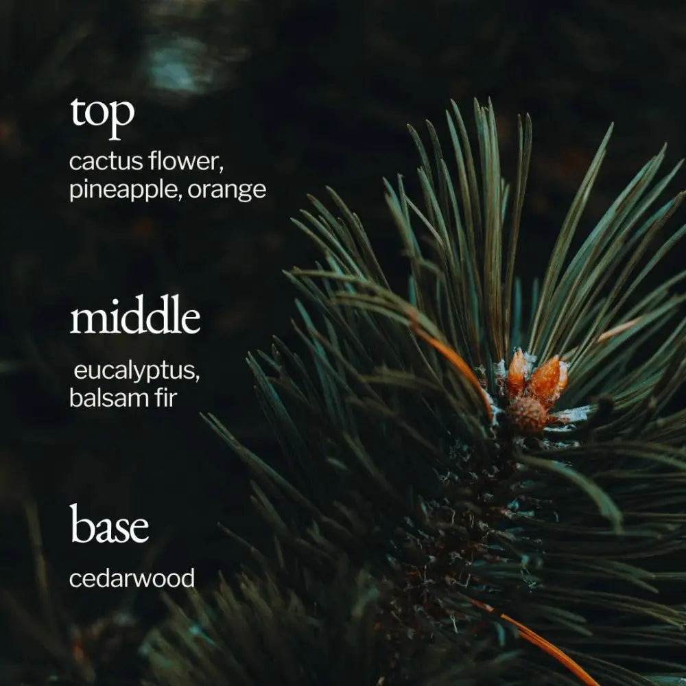 SOJA&CO.® - Soy Wax Candle | Fir + Cactus Flower 4oz