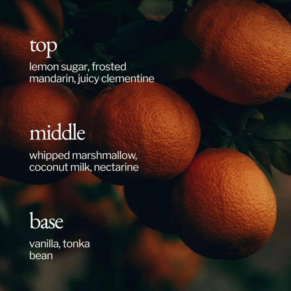 SOJA&CO.® - Soy Wax Candle | Marshmallow + Clementine 4oz