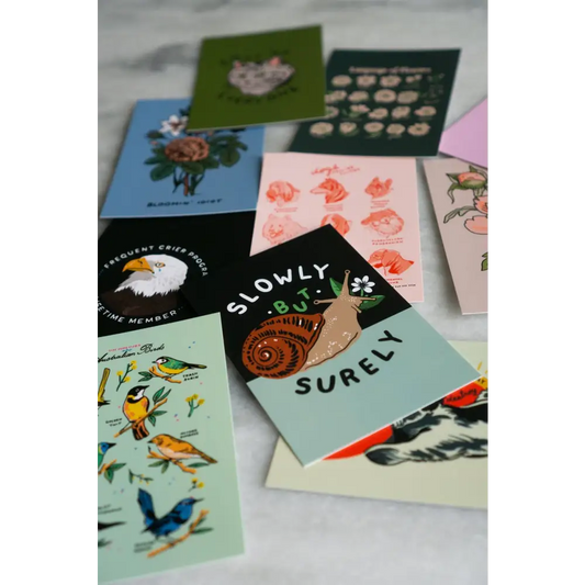 Stay Home Club - SHC 20 Postcard Pack