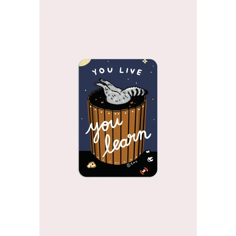 You Live You Learn Vinyl Sticker - PABOOM
