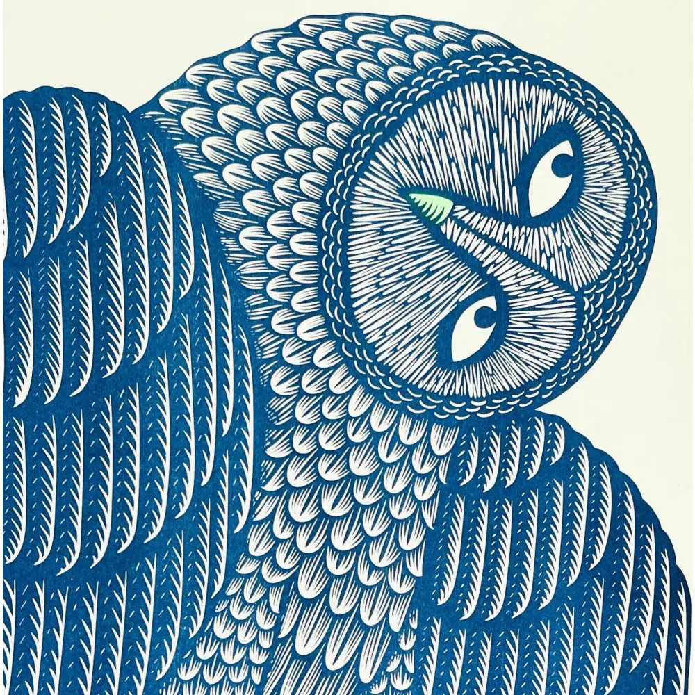 Strangford - A Wing and Prayer - blue owl illustration green beak