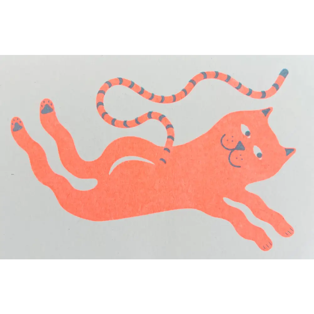 Strangford - Cat Riso Card - orange cat illustration blue stripes