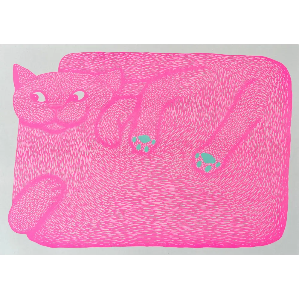 Strangford - “I’m Just A Paw Boy From Family” - vibrant pink cat illustration teal