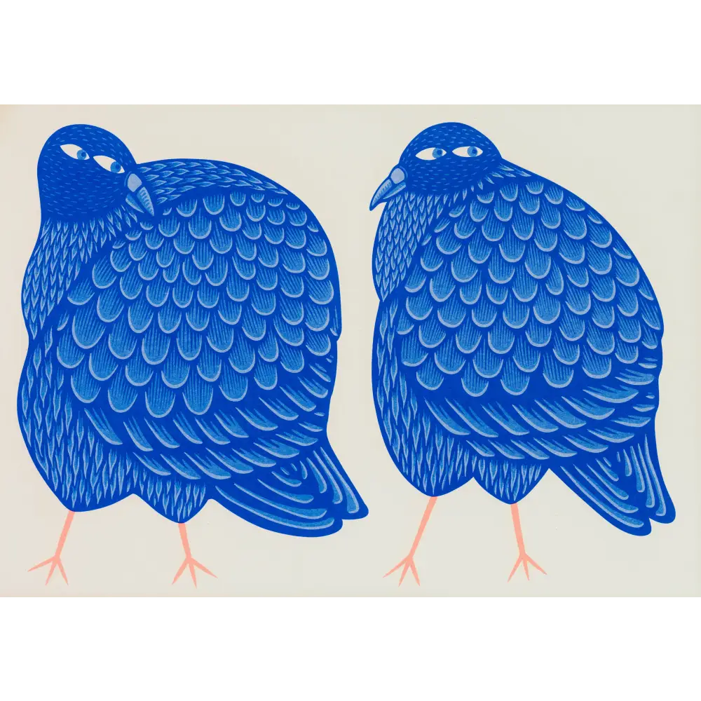 Strangford - Pigeon Fancier Riso Print