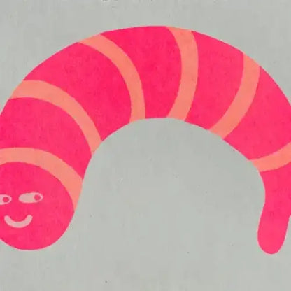 Strangford - Prawn Riso Card - curved bright pink worm lighter