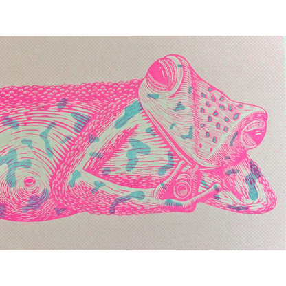 Ribbit For Her Pleasure - PABOOM