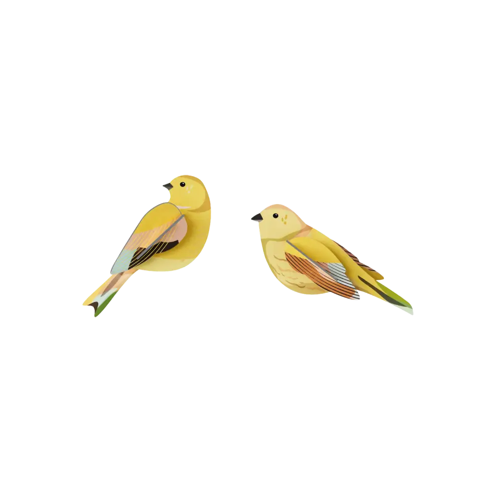 Studio Roof (no tariffs) - 3D Wall Art - Garden Birds - Citrinella Pair