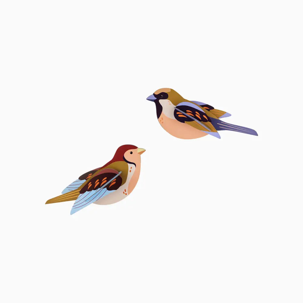 Studio Roof (no tariffs) - 3D Wall Art - Garden Birds - Sparrows