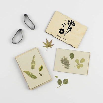 Silhouette Pocket Flower Press - Baby Breath