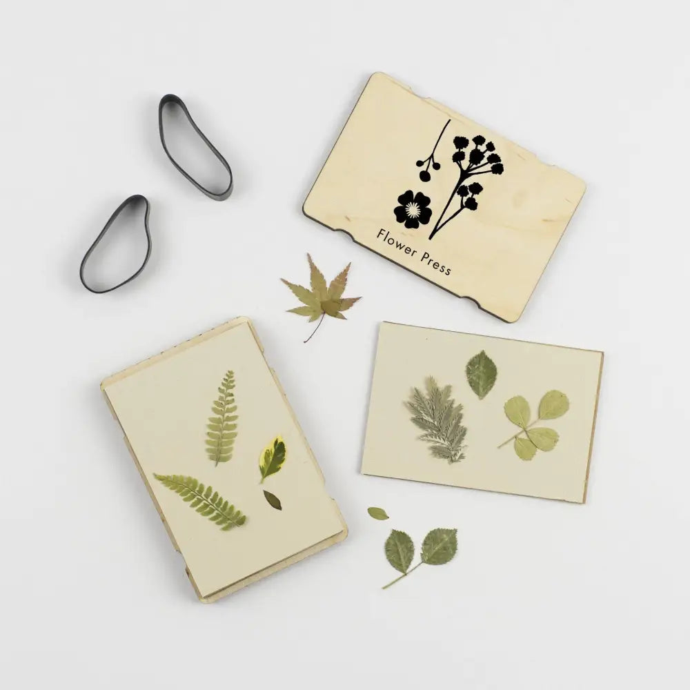 Silhouette Pocket Flower Press - Fern