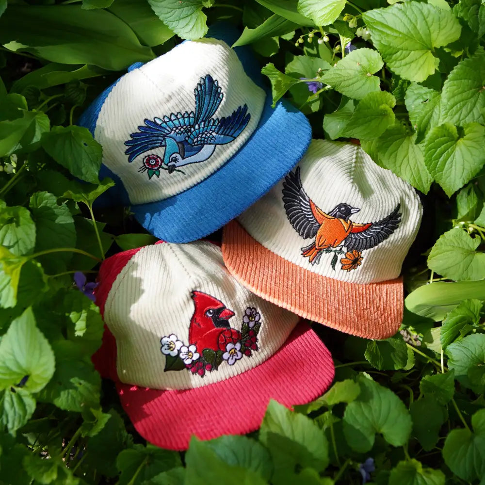 Stuntin Goods - Blue Jay Two-Tone Corduroy Hat - three bird-embroidered corduroy hats