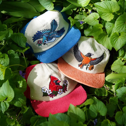 Stuntin Goods - Blue Jay Two-Tone Corduroy Hat - three bird-embroidered corduroy hats