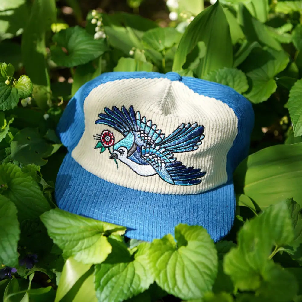 Stuntin Goods - Blue Jay Two-Tone Corduroy Hat - blue white corduroy baseball cap