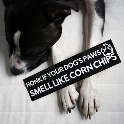 Stuntin Goods - Dog Paws Smell Like Corn Chips Bumper Sticker