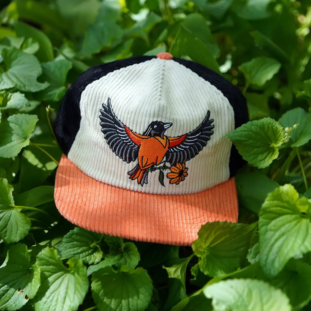 Oriole Two-Tone Corduroy Hat - PABOOM