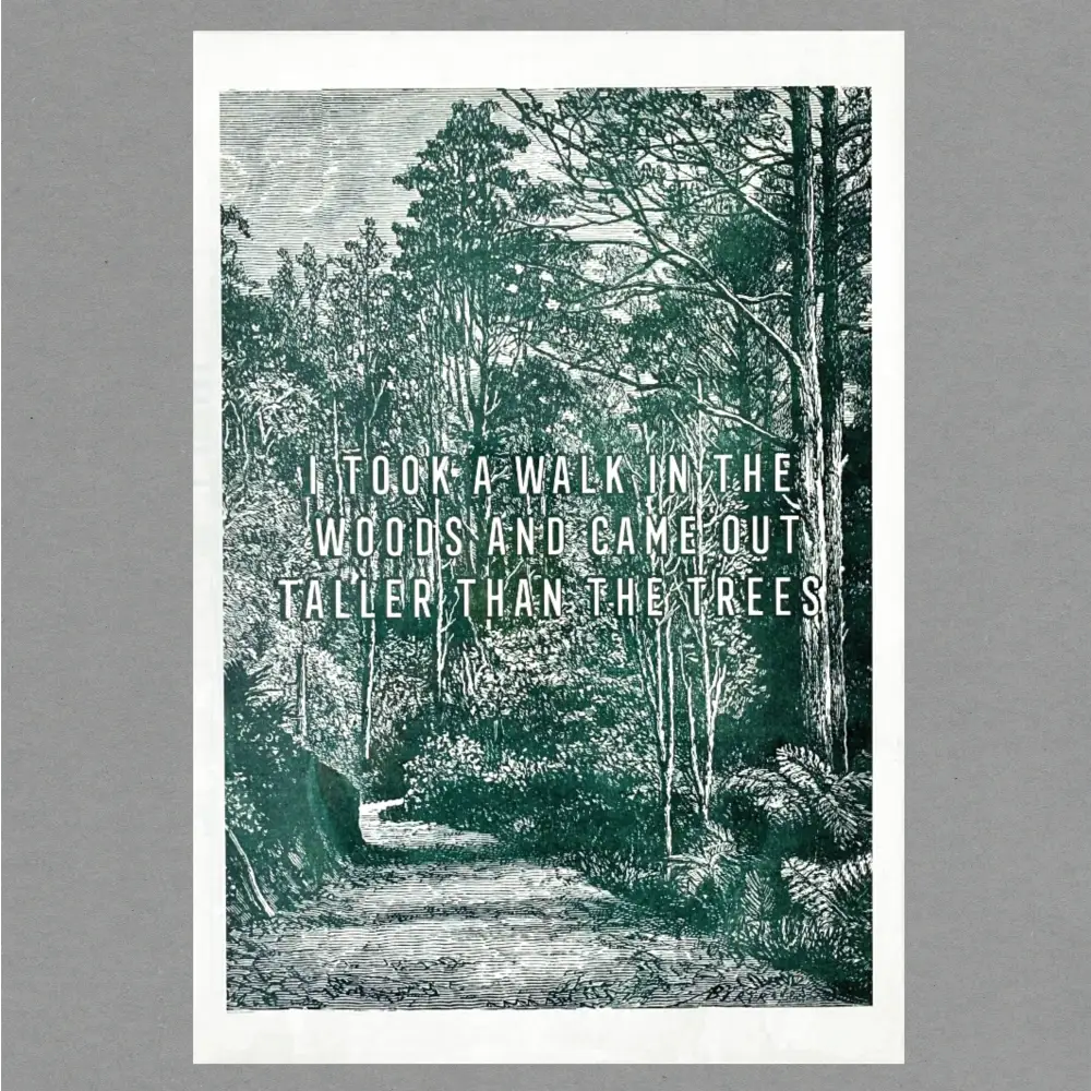 The Passenger Press - Walk in the Wood Risograph Print