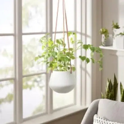 Ashbury Hanging Planter White Small - PABOOM