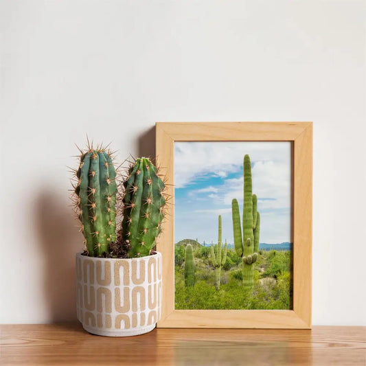 Arches Planter - PABOOM