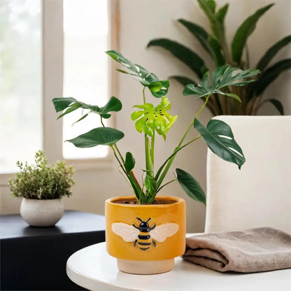 Bee Ceramic Planter - PABOOM