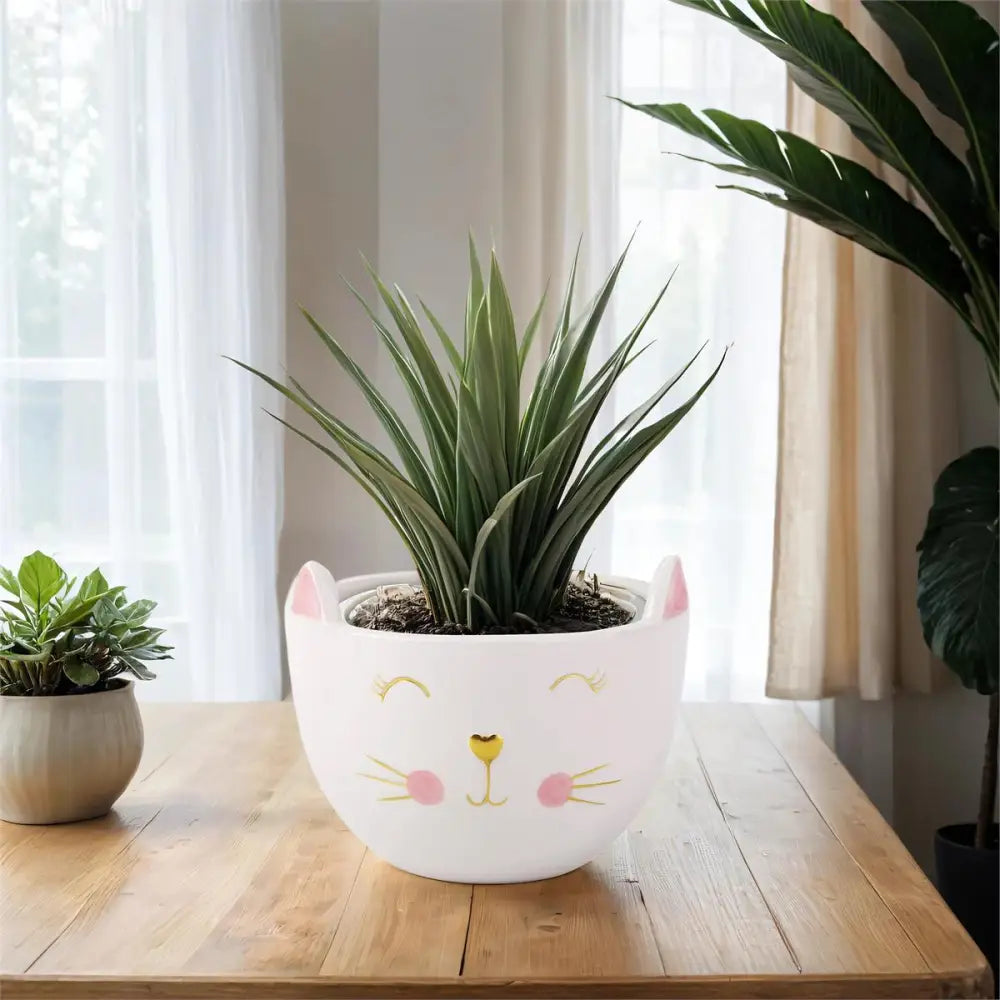 Ceramic Cat Planter - PABOOM