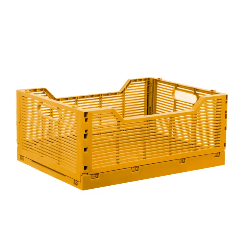 Collapsible Storage Crate - Moss / Small