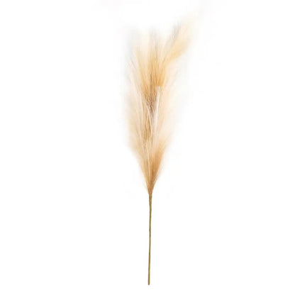 Faux Pampas Grass Brown - PABOOM