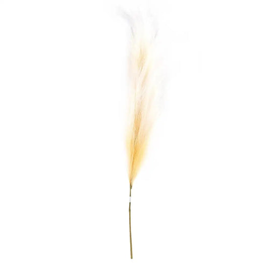 Faux Pampas Grass Natural - PABOOM