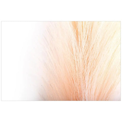 Faux Pampas Grass Pink - PABOOM
