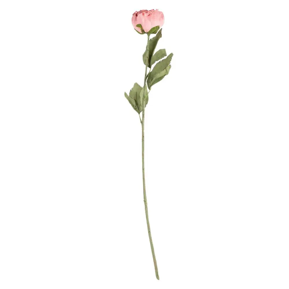 Peony Stem - pink